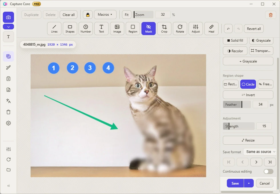 The Capture Core editor with numbered badges, an arrow and a soft circular blur added to a photo of a cat, and the mask settings on the right.